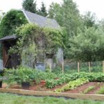 garden image