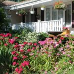 garden image